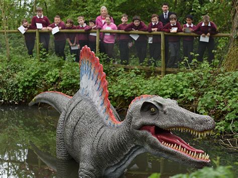 jurassic journey cotswolds|Admission Prices & Opening Times .